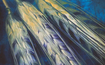 Dlaczego moje obrazy nie są fotografią, ale fotografiką – i co to właściwie znaczy?