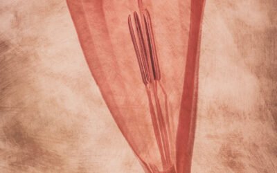 Z ilu zdjęć składa się jeden obraz?