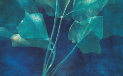 Dlaczego nie mam jednego stylu – i dobrze mi z tym