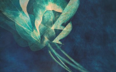 Dlaczego tworzę? I dlaczego dopiero teraz na serio?