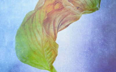 Kim są ludzie, którzy kupują moje obrazy?