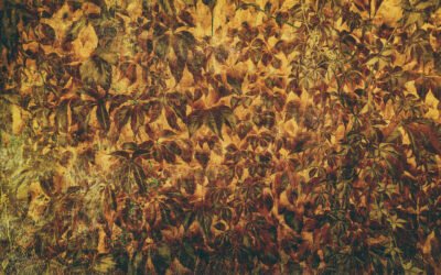 Nie musisz znać się na sztuce, żeby ją czuć