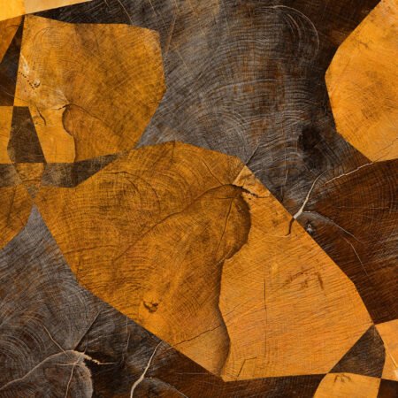 Cross section I – fotografika. Przekrój pnia drzewa, kubistyczne wzory, ciepła poświata.