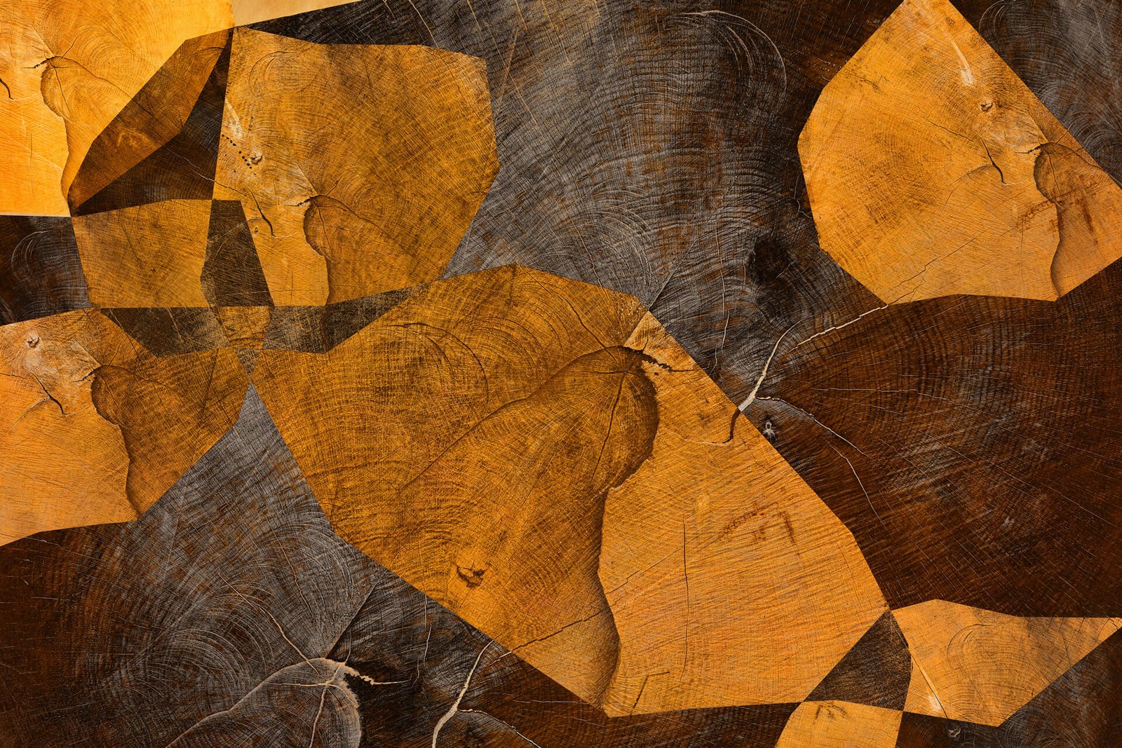 Cross section I – fotografika. Przekrój pnia drzewa, kubistyczne wzory, ciepła poświata.