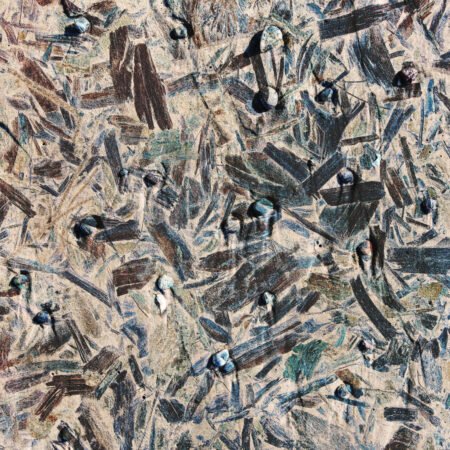 Dancing lines – fotografika. Zbliżenie na coś, co wygląda jak leśna ściółka, na której leżące drobne kształty układają się w pełną ruchu kompozycję.