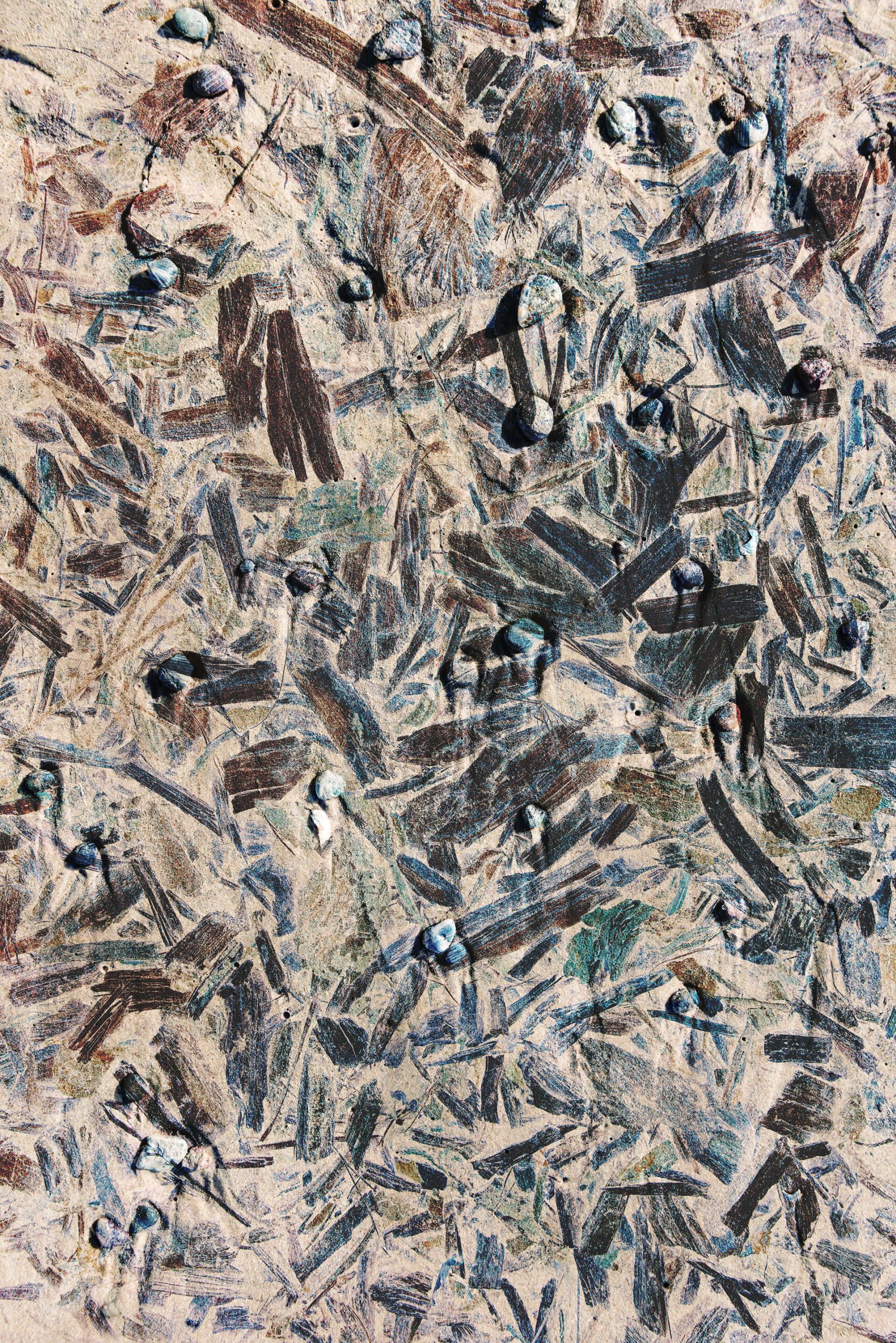 Dancing lines – fotografika. Zbliżenie na coś, co wygląda jak leśna ściółka, na której leżące drobne kształty układają się w pełną ruchu kompozycję.