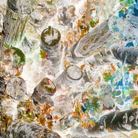 Impressio II - fotografika Leśny pejzaż pokazany w onirycznej malarskiej impresji.