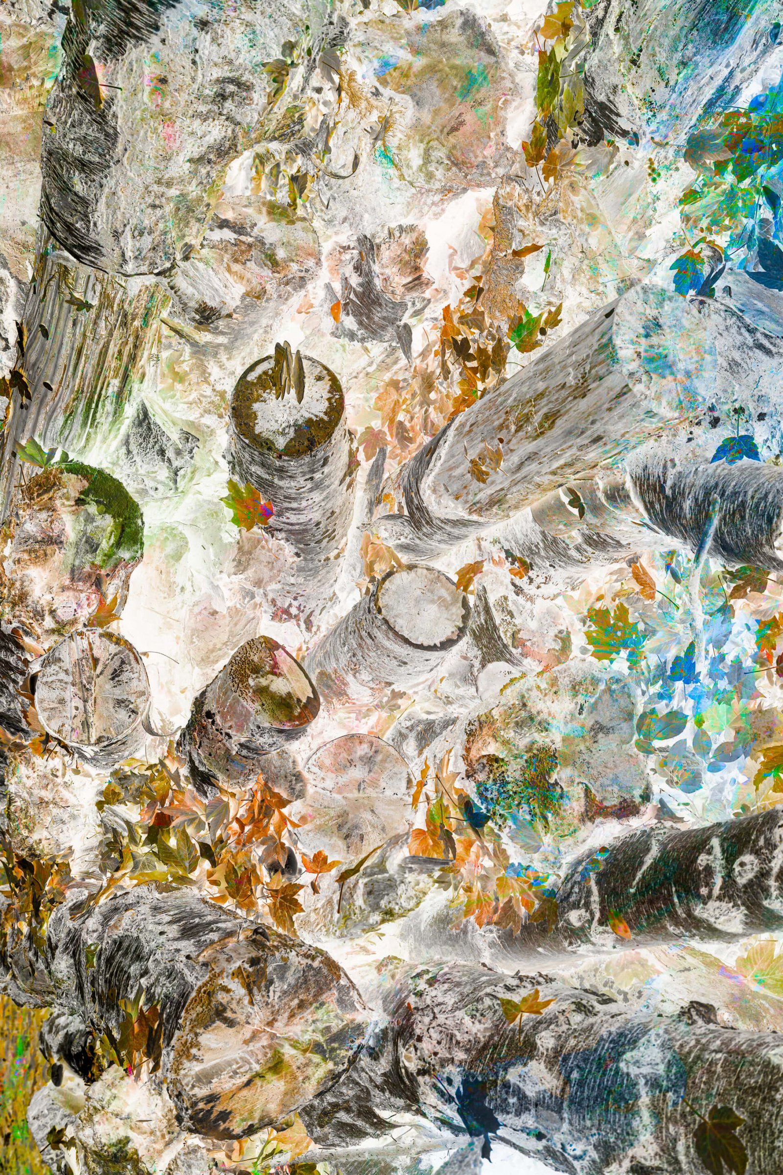 Impressio II - fotografika Leśny pejzaż pokazany w onirycznej malarskiej impresji.