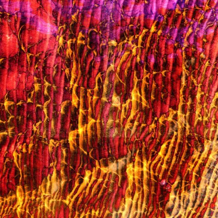 W sieci - fotografika Gęsta, geometryczna siatka, która przykrywa organiczne, pulsujące życiem formy w odcieniach ognistego oranżu, czerwieni i fioletu