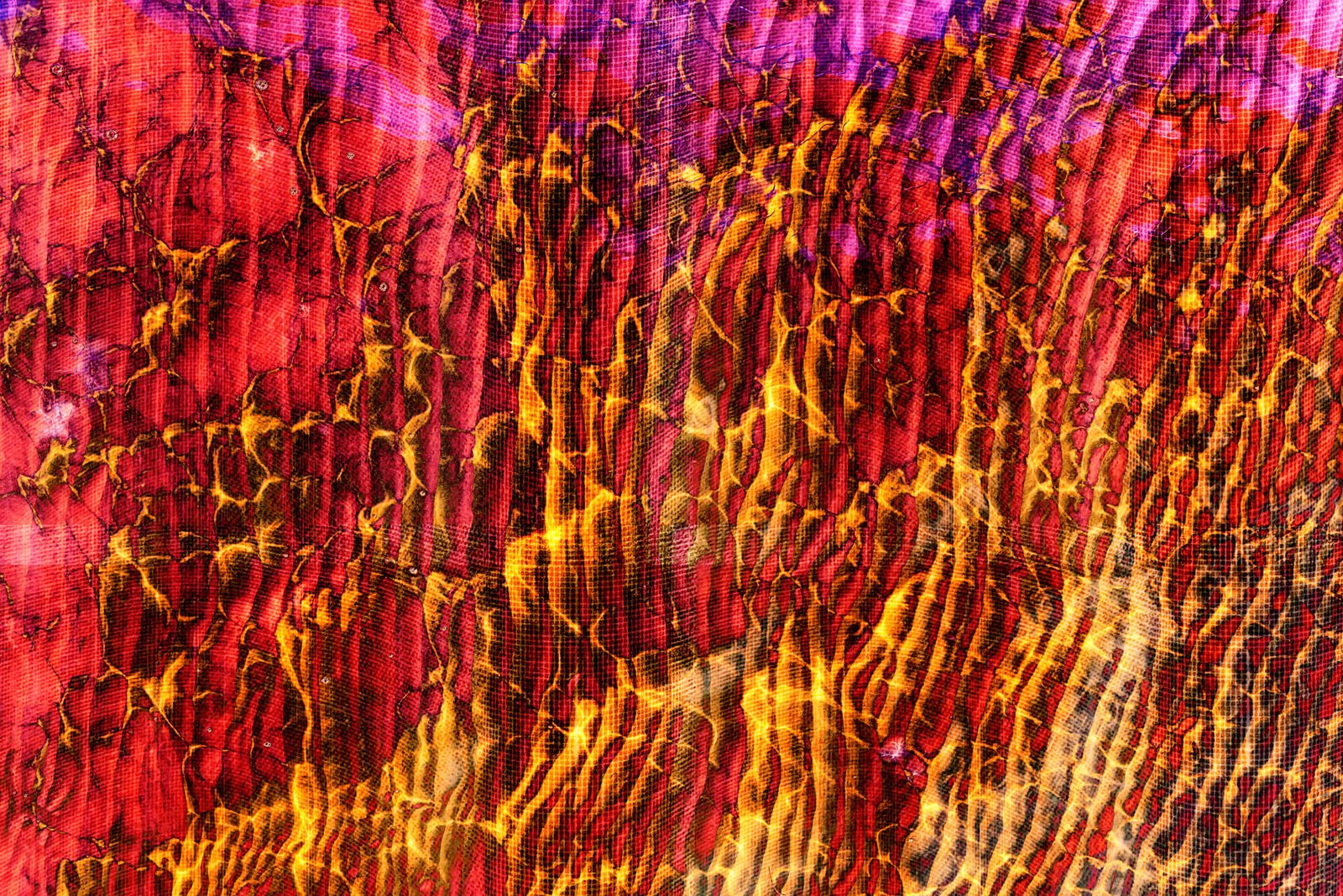 W sieci - fotografika Gęsta, geometryczna siatka, która przykrywa organiczne, pulsujące życiem formy w odcieniach ognistego oranżu, czerwieni i fioletu