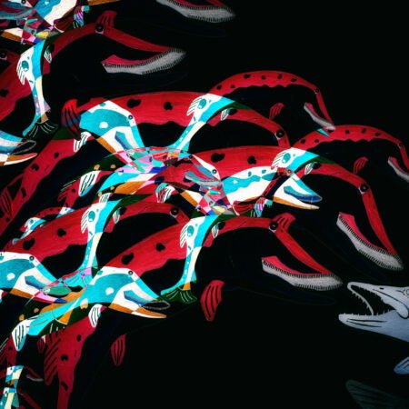 Outsider - fotografika - Zderzenie ławicy podobnych ryb z jednej strony, z pojedynczą rybą z drugiej.