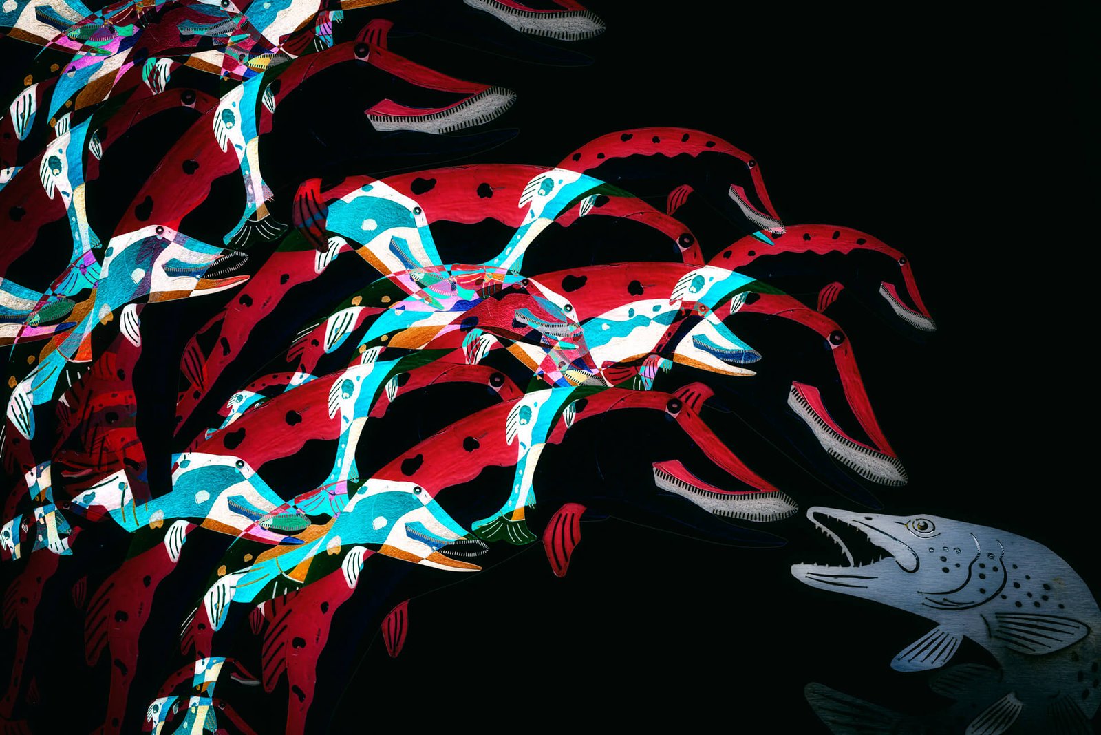 Outsider - fotografika - Zderzenie ławicy podobnych ryb z jednej strony, z pojedynczą rybą z drugiej.