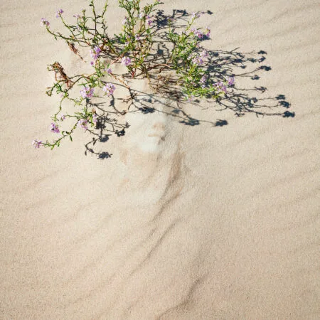 Queen of the dune - Kwiaty na pustynnym piasku. Wystawowy debiut.