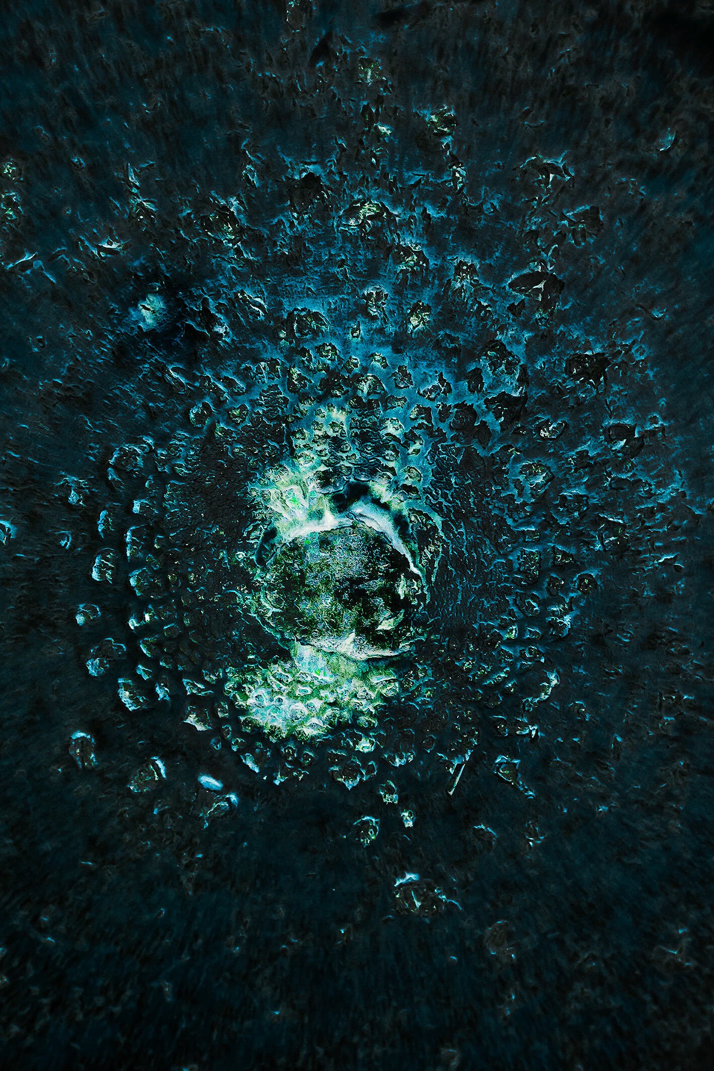 New Life Ciemno zielona abstrakcyjna faktura z jasnym, środkowym elementem.