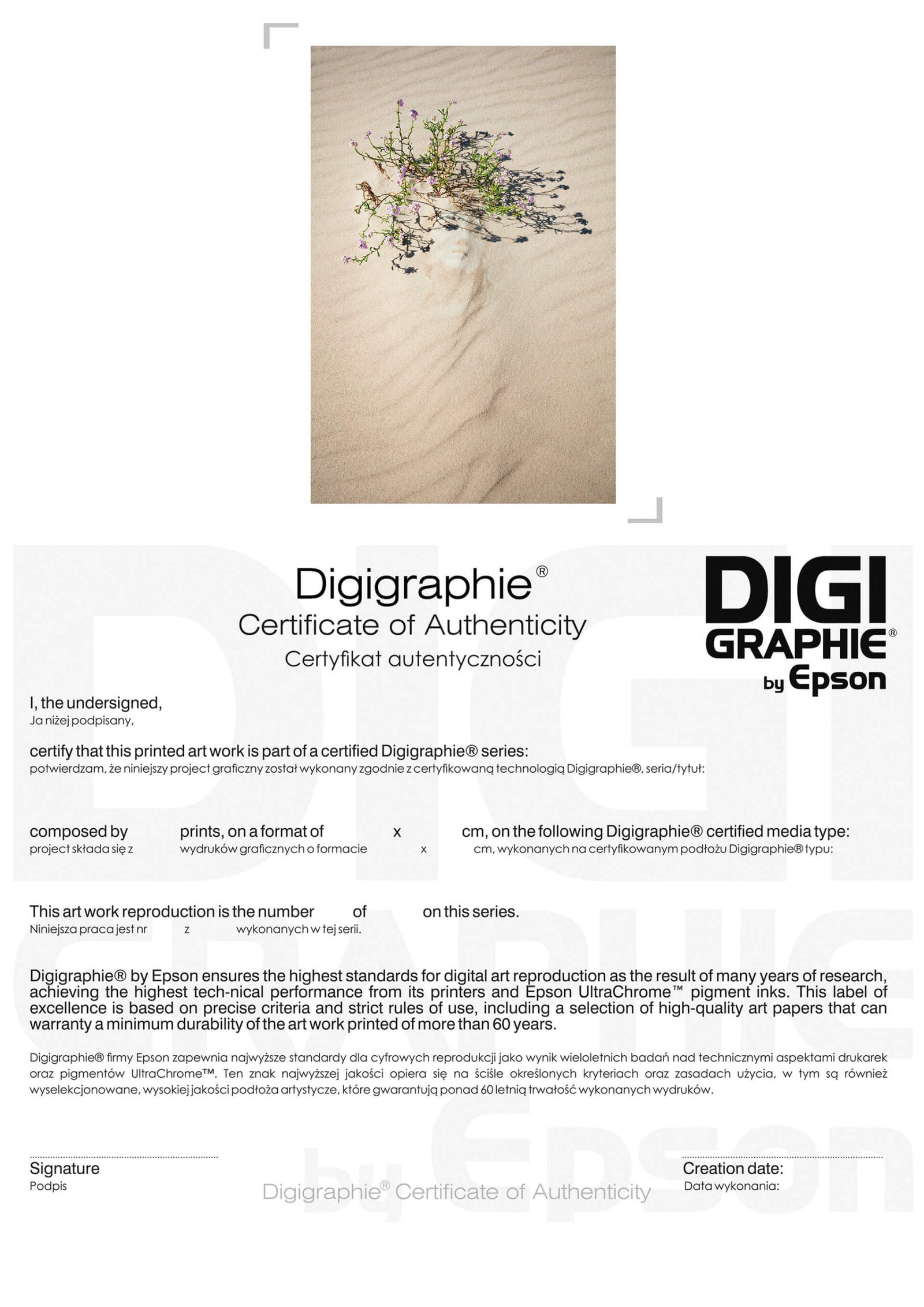 Queen of the Dune Certyfikat autentyczności dzieła sztuki